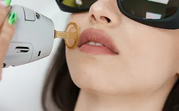 Верхняя губа